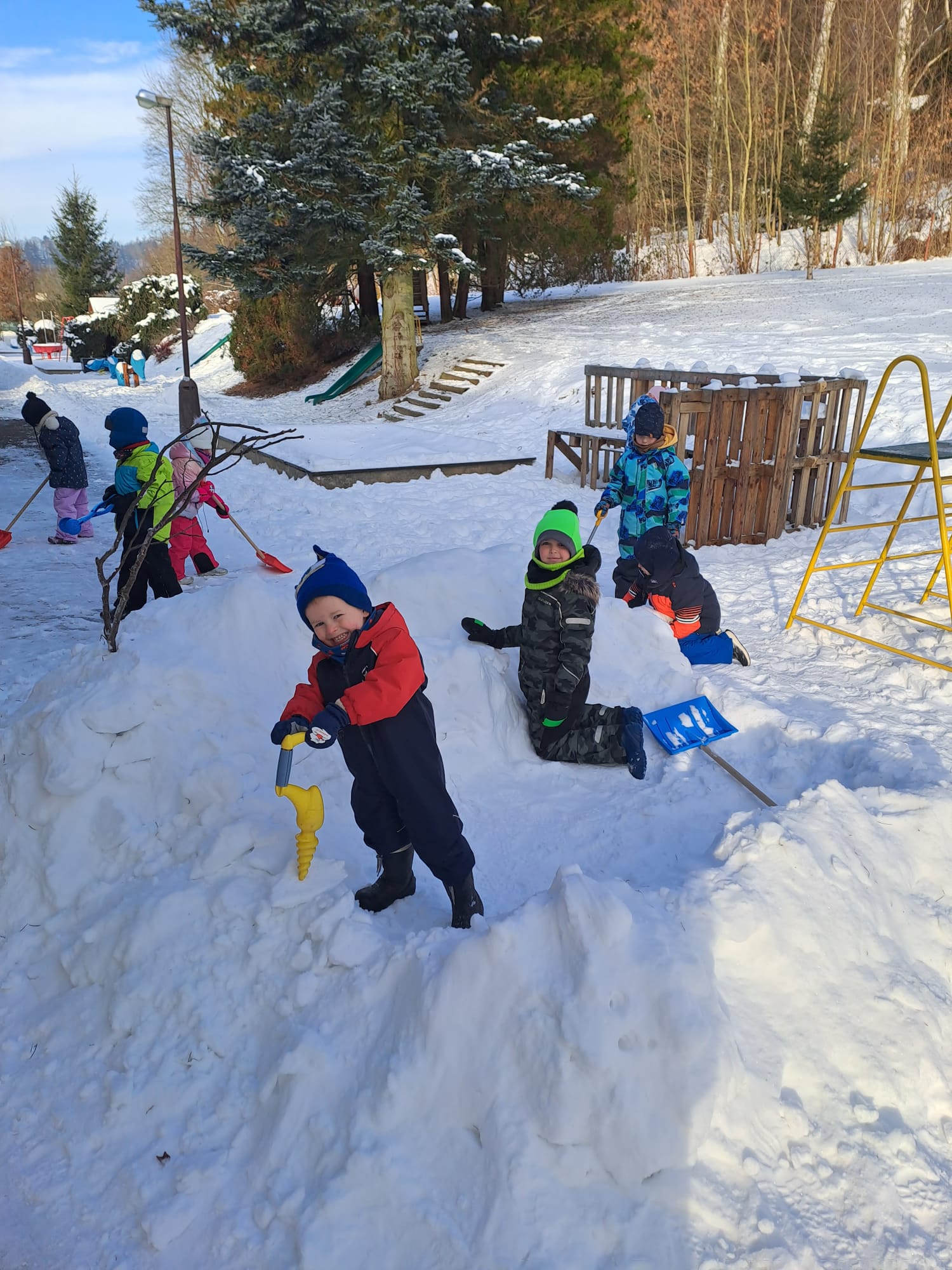 WhatsApp Image 2026 01 25 at 08.11.56