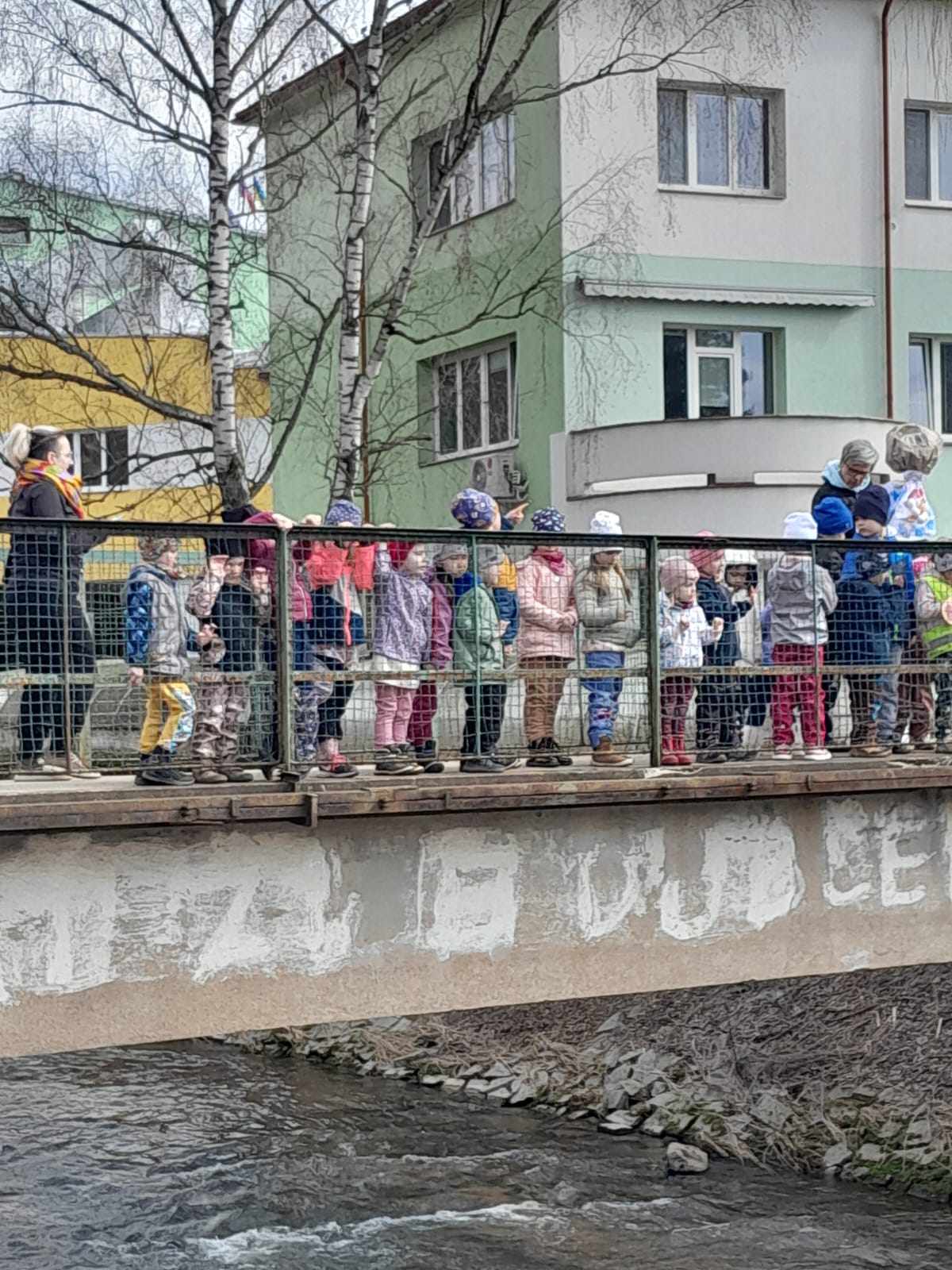 WhatsApp Image 2026 04 01 at 13.13.33 2